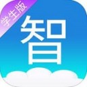 手机使用外网app