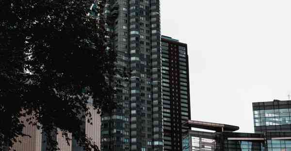 2023版佛跳墙下载安装