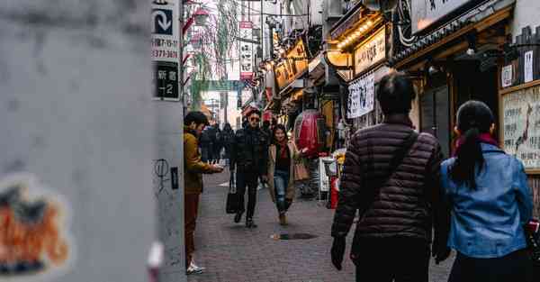 蜜蜂加速器 官网地址