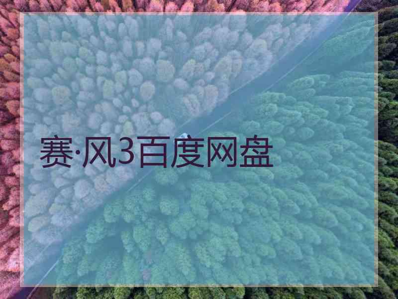 赛·风3百度网盘