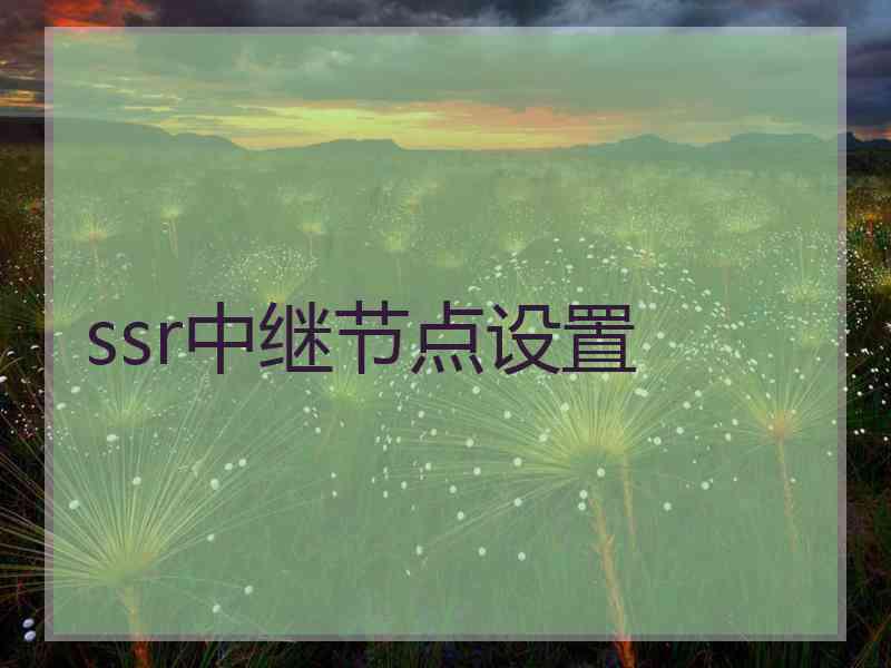 ssr中继节点设置