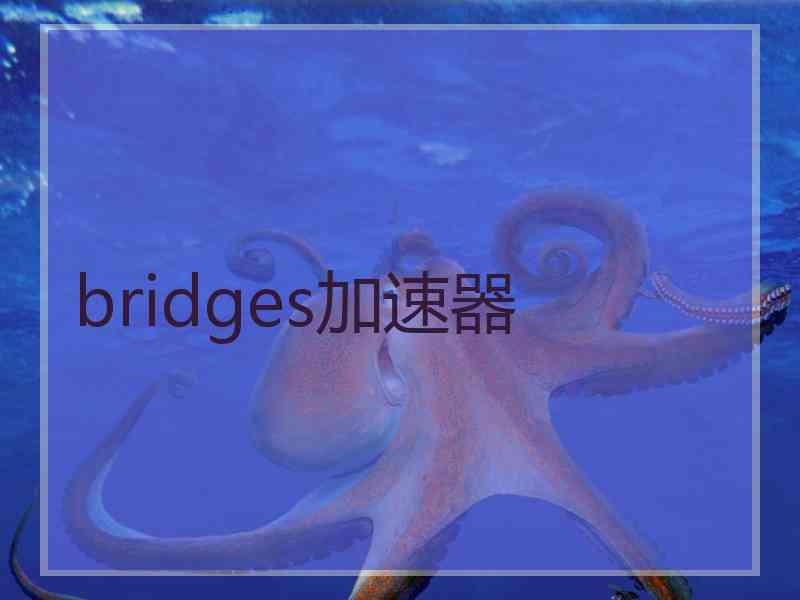 bridges加速器