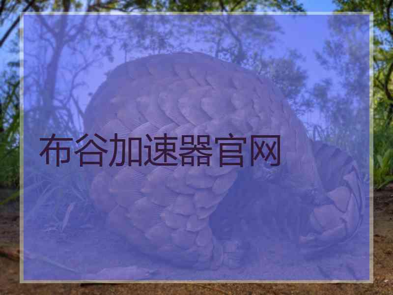 布谷加速器官网