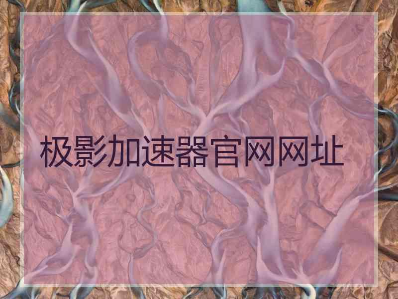 极影加速器官网网址