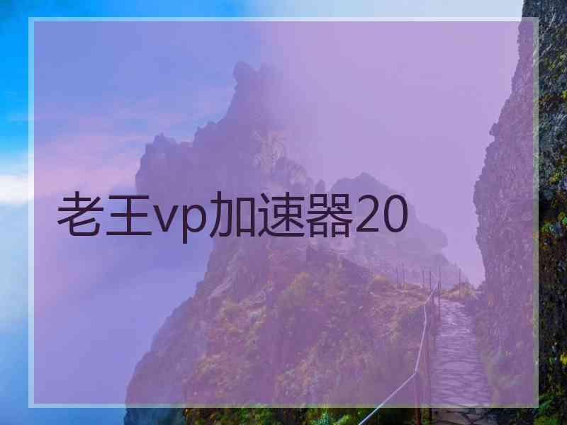 老王vp加速器20