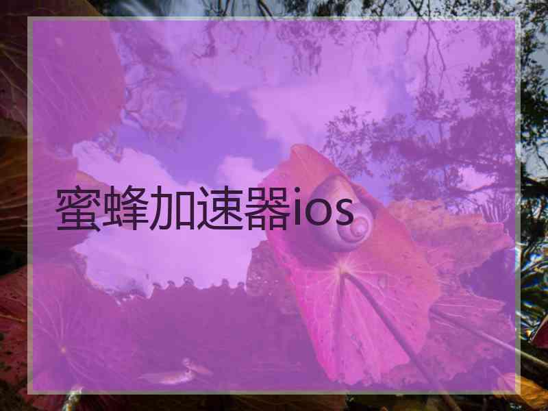 蜜蜂加速器ios