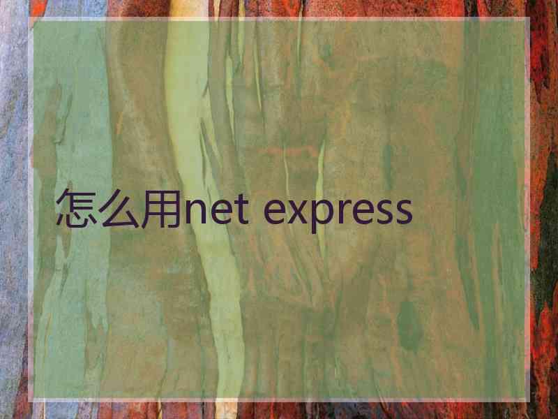 怎么用net express