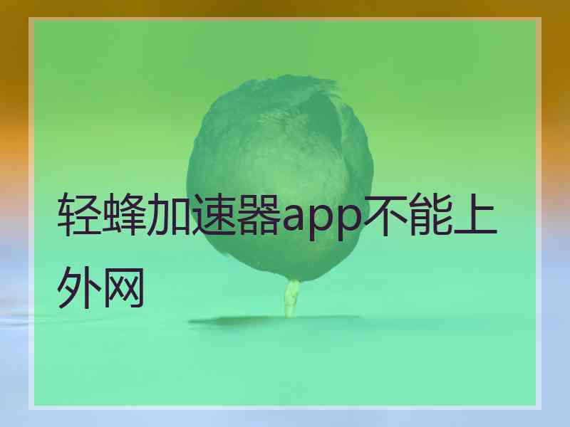 轻蜂加速器app不能上外网