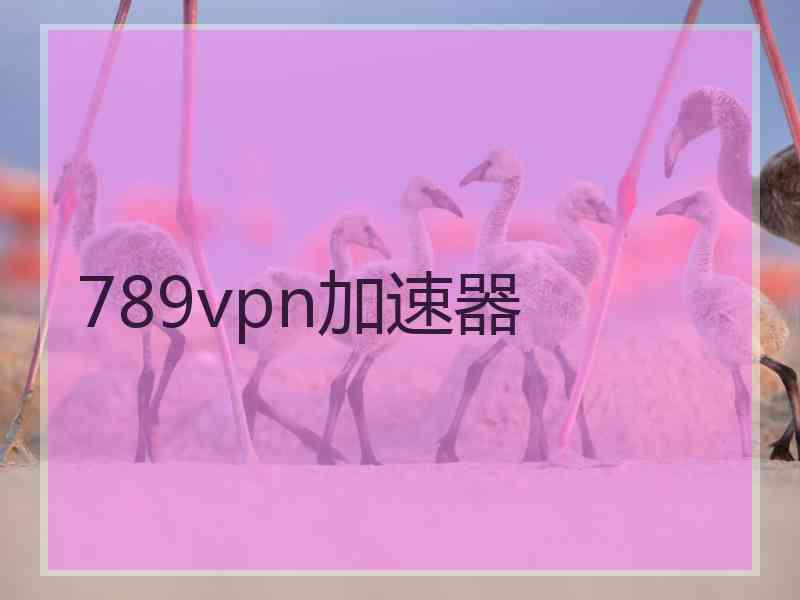 789vpn加速器