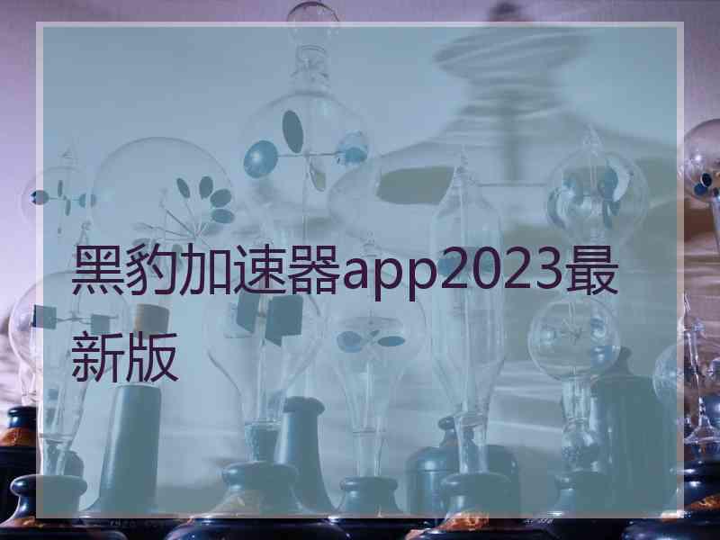 黑豹加速器app2023最新版