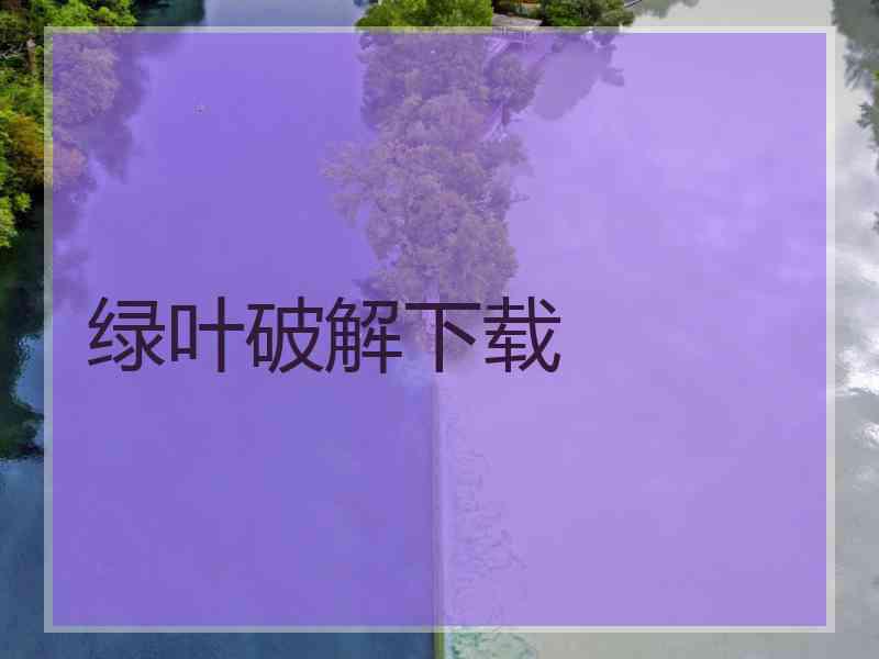 绿叶破解下载