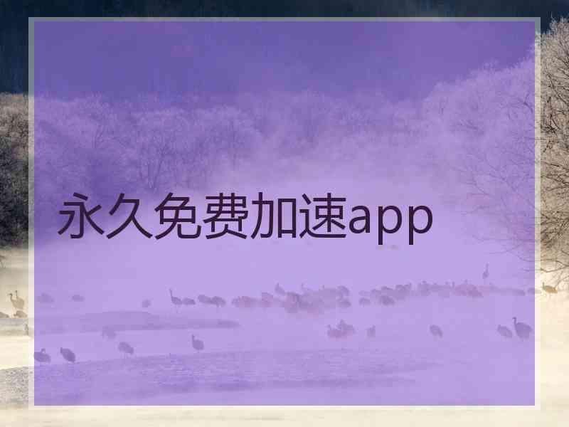 永久免费加速app