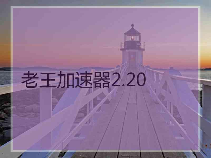 老王加速器2.20