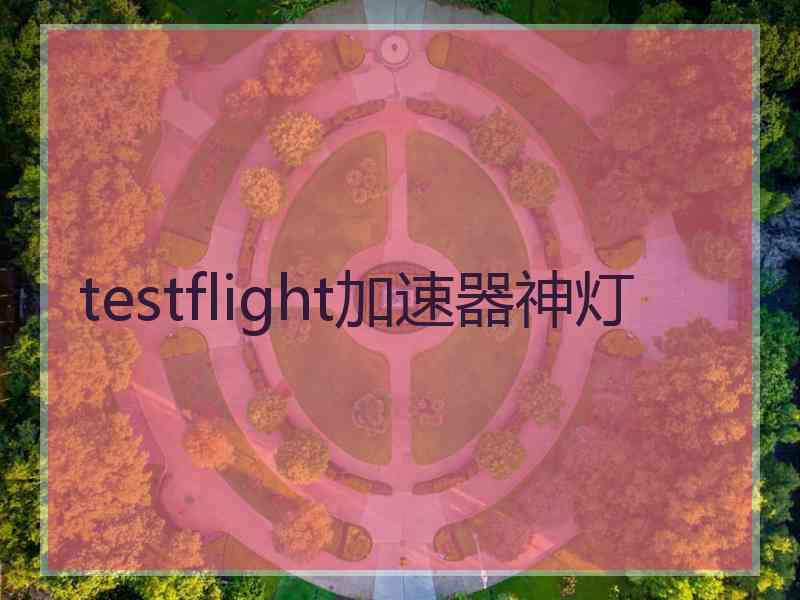 testflight加速器神灯