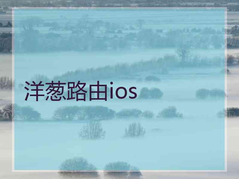 洋葱路由ios