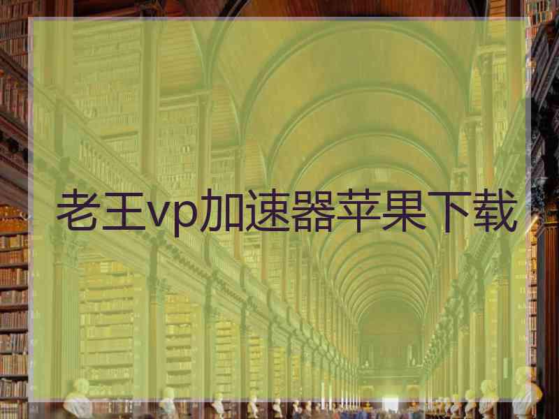 老王vp加速器苹果下载