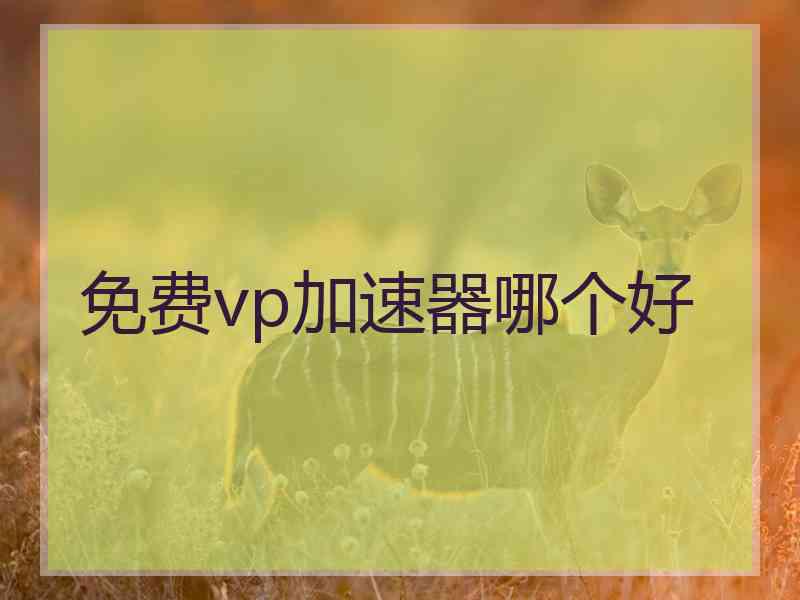 免费vp加速器哪个好