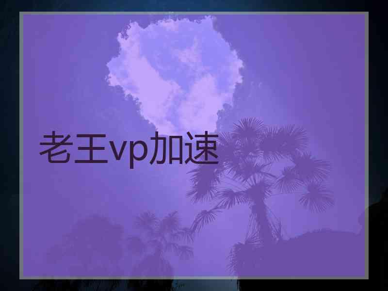 老王vp加速