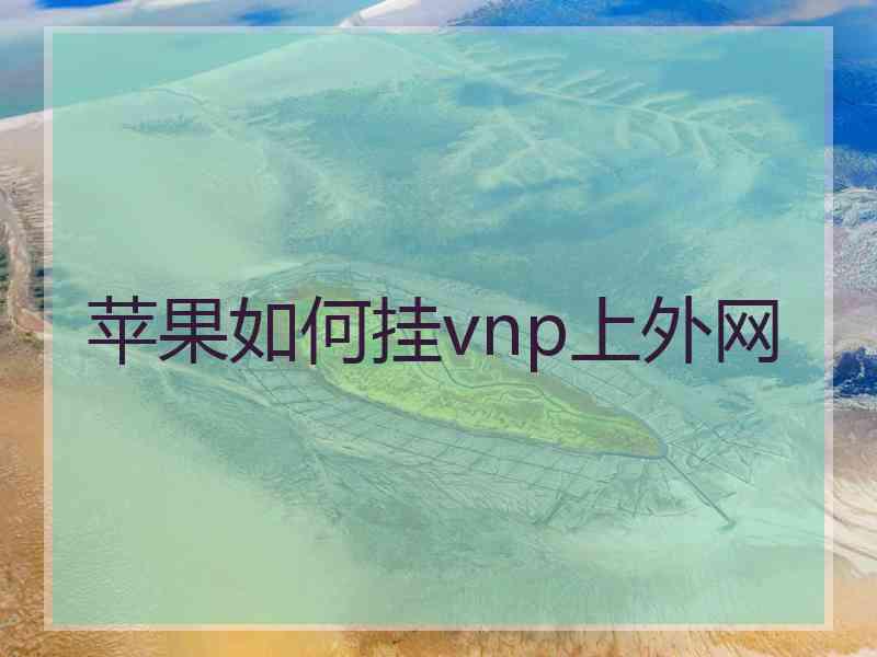 苹果如何挂vnp上外网