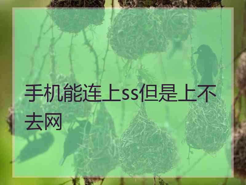 手机能连上ss但是上不去网