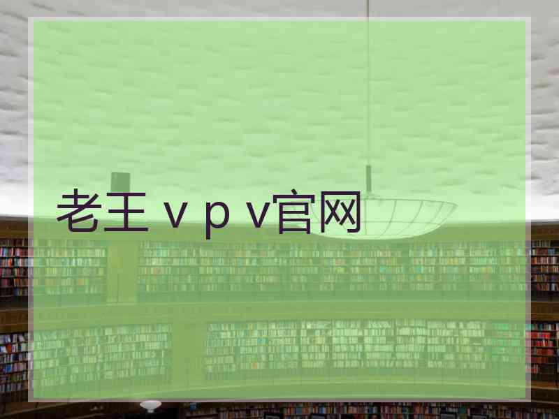 老王 v p v官网