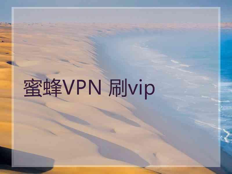 蜜蜂VPN 刷vip