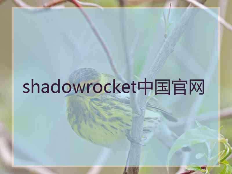 shadowrocket中国官网