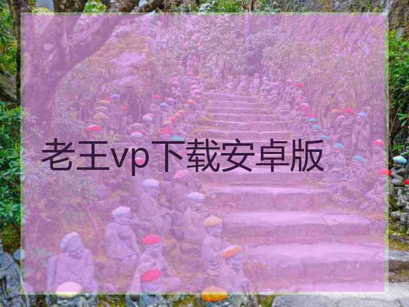 老王vp下载安卓版