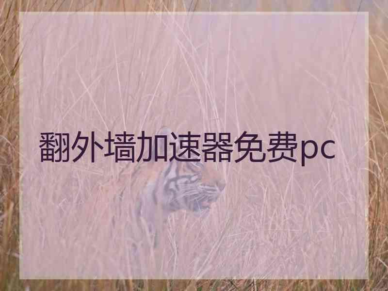 翻外墙加速器免费pc