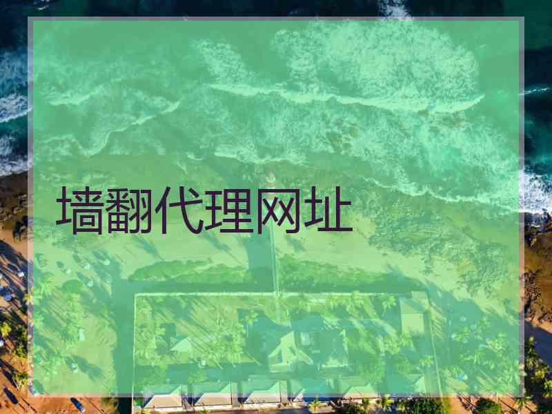 墙翻代理网址