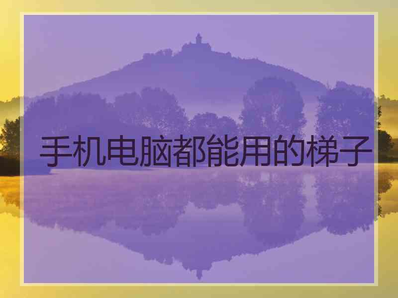 手机电脑都能用的梯子