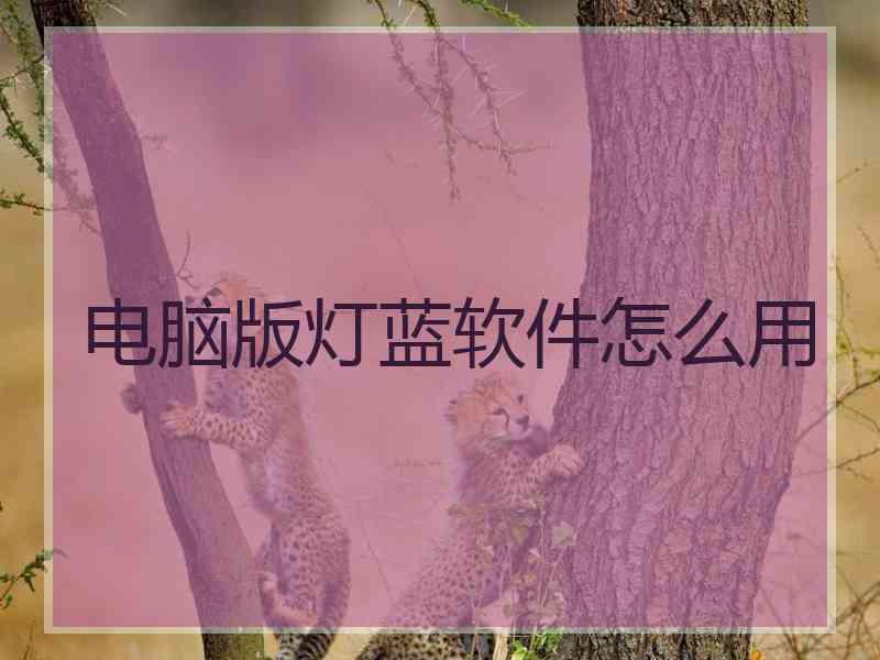 电脑版灯蓝软件怎么用