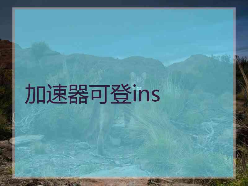 加速器可登ins