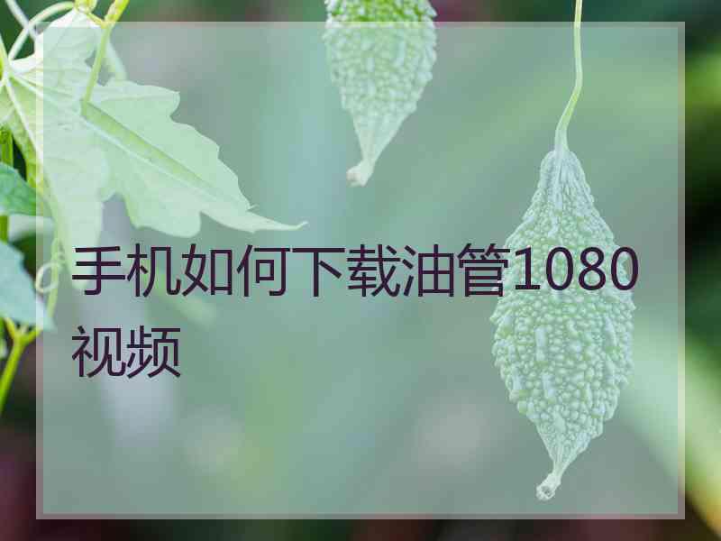 手机如何下载油管1080视频