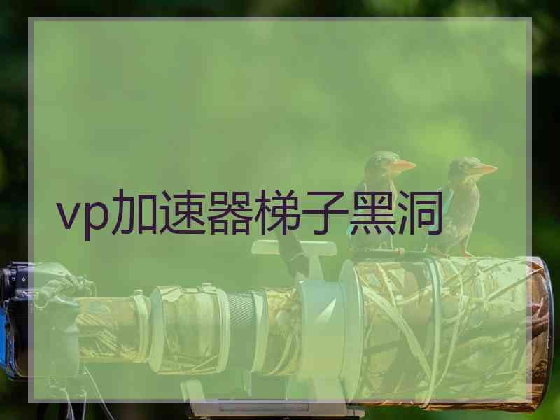 vp加速器梯子黑洞