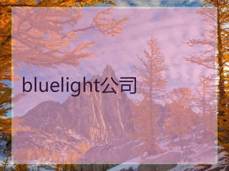 bluelight公司