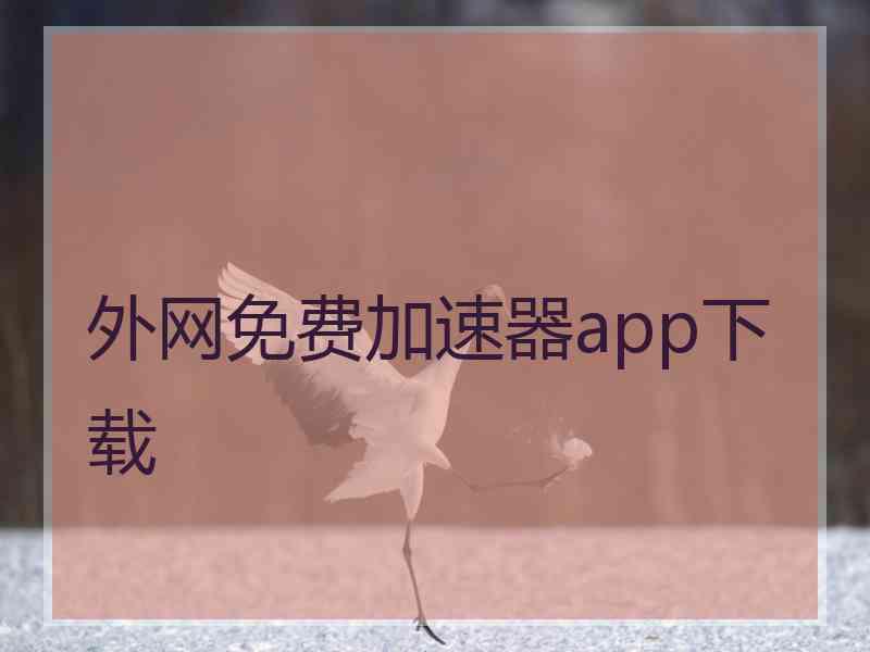 外网免费加速器app下载