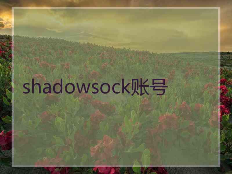 shadowsock账号