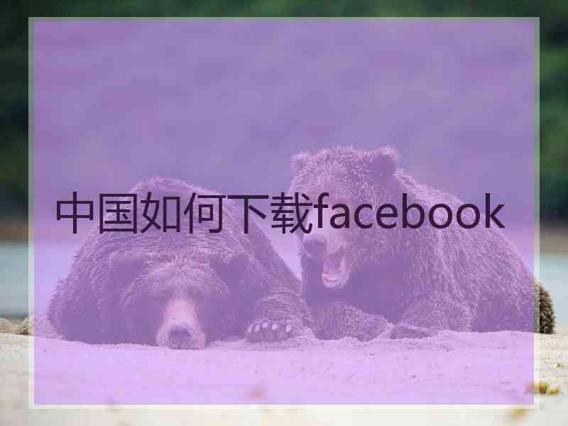 中国如何下载facebook