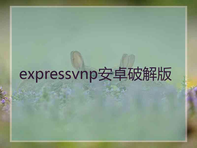 expressvnp安卓破解版