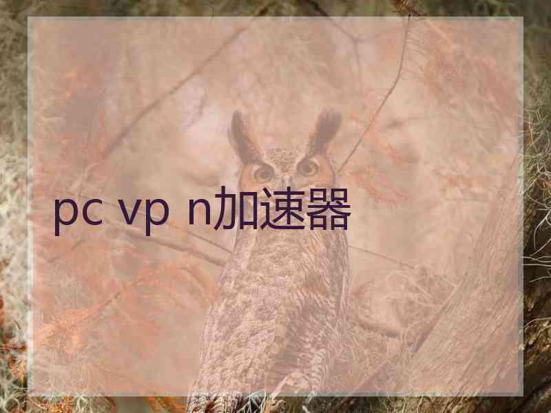 pc vp n加速器