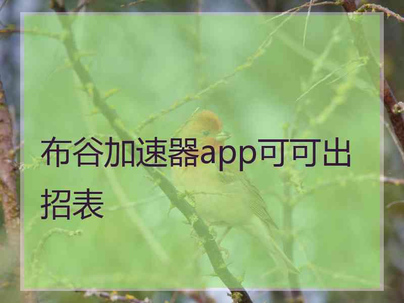 布谷加速器app可可出招表