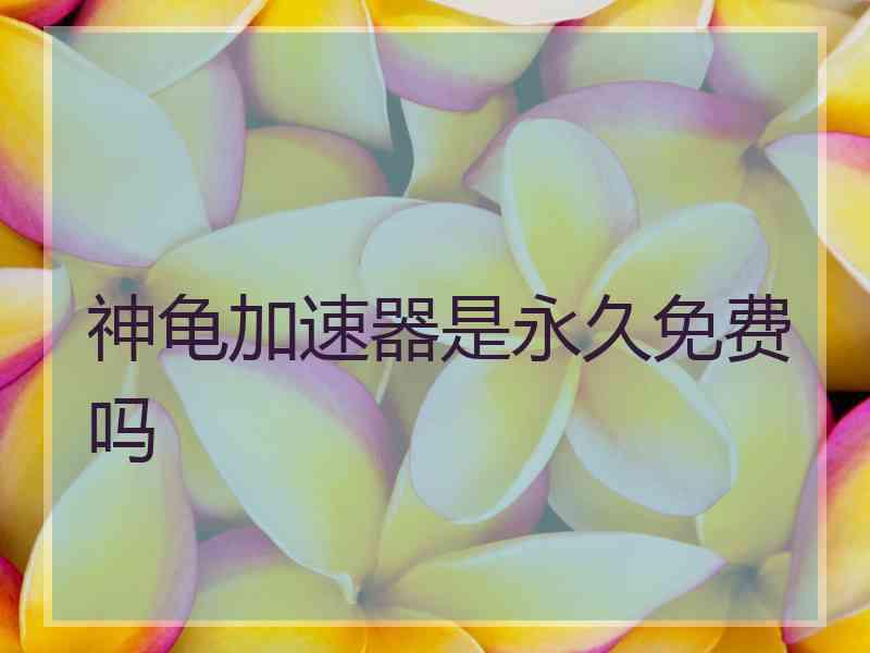 神龟加速器是永久免费吗