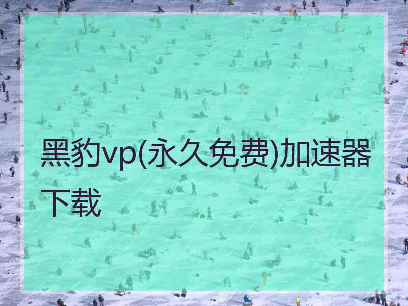 黑豹vp(永久免费)加速器下载