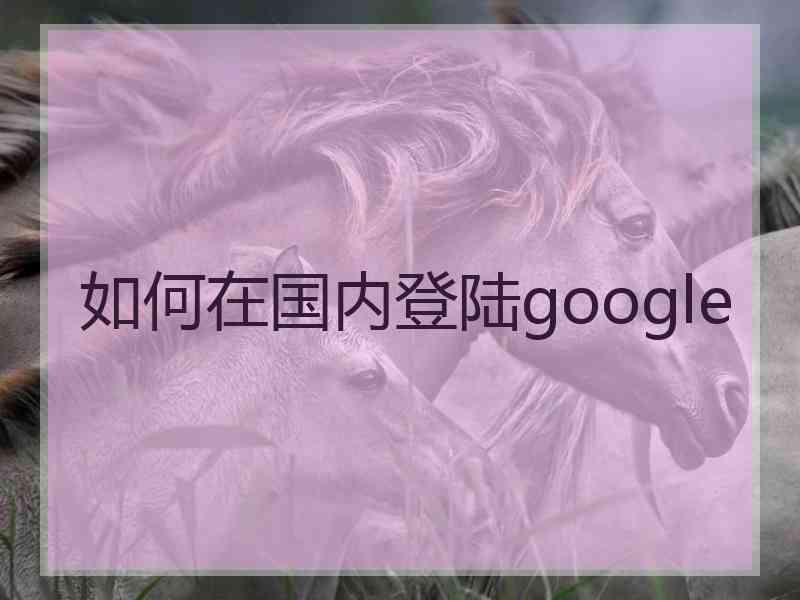 如何在国内登陆google