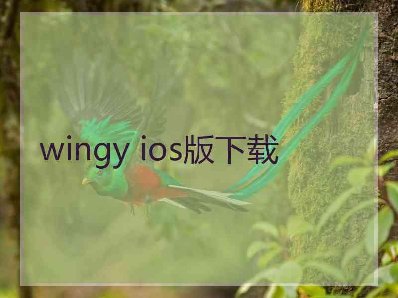 wingy ios版下载