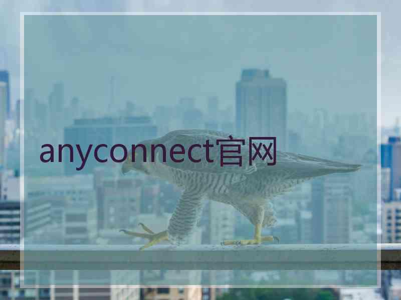 anyconnect官网