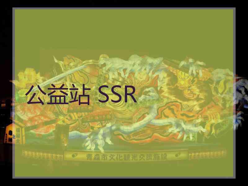 公益站 SSR