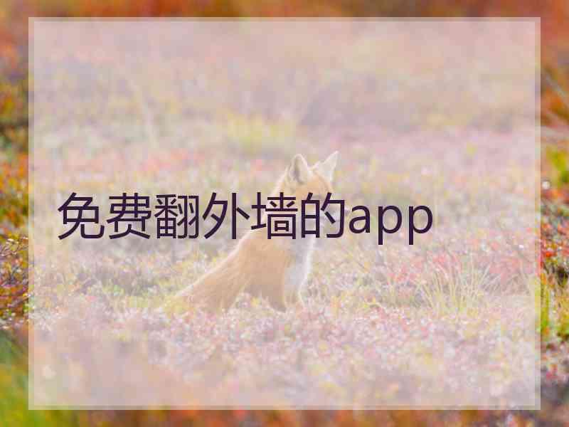 免费翻外墙的app