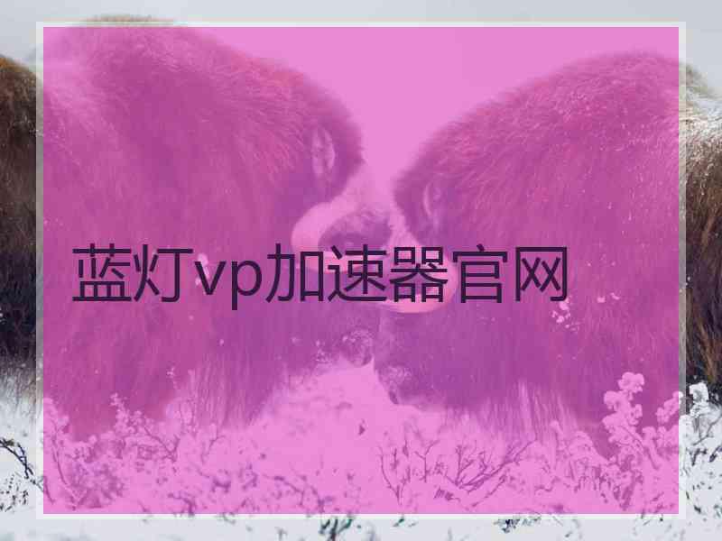 蓝灯vp加速器官网